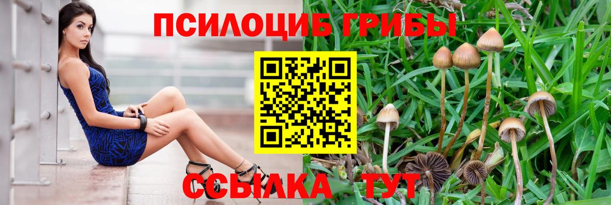 Галлюциногенные грибы прущие грибы Каменка