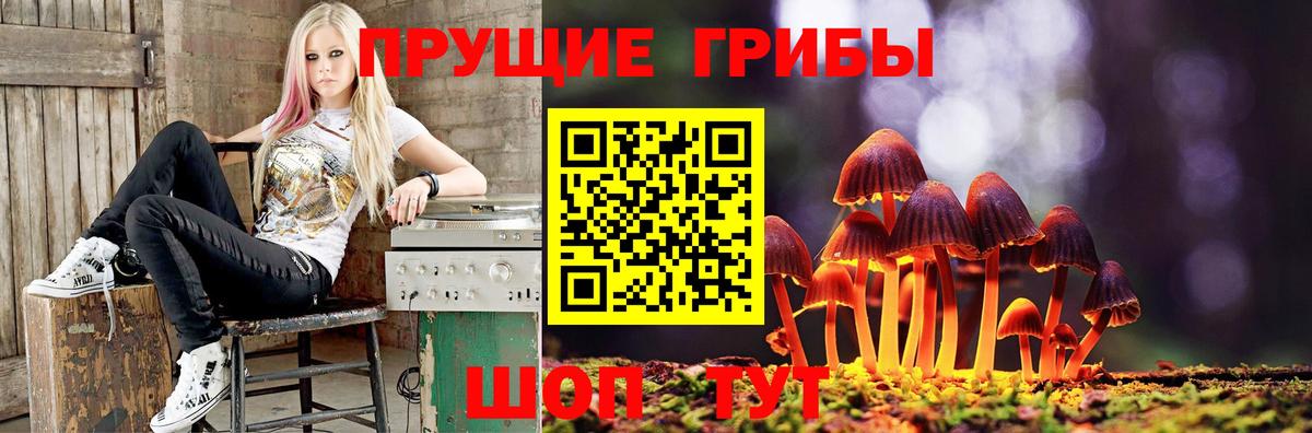 Псилоцибиновые грибы Cubensis  Вход с VPN  Каменка  Галлюциногенные грибы мицелий 